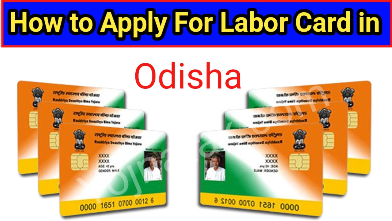 odisha labour card,odisha labour card list,odisha labour card portal,odisha labour card online apply